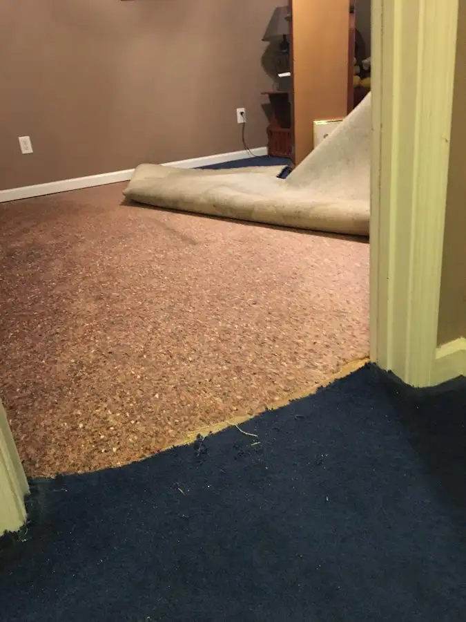 Carpet pad removal revealing water damage during Drying & Dehumidification in Holmdel